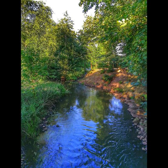 An Image Slideshow